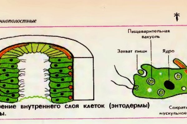 Кракен маркетплейс официальный сайт