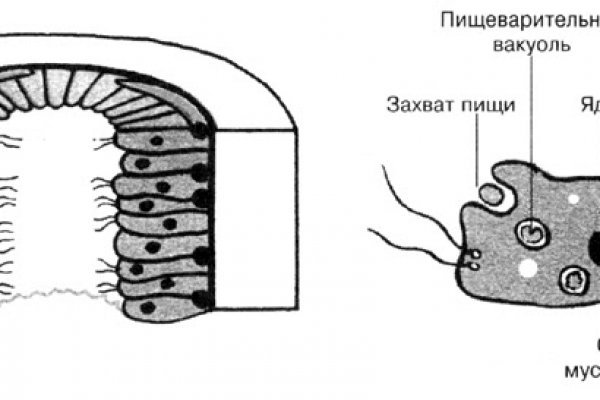 Kraken рынок